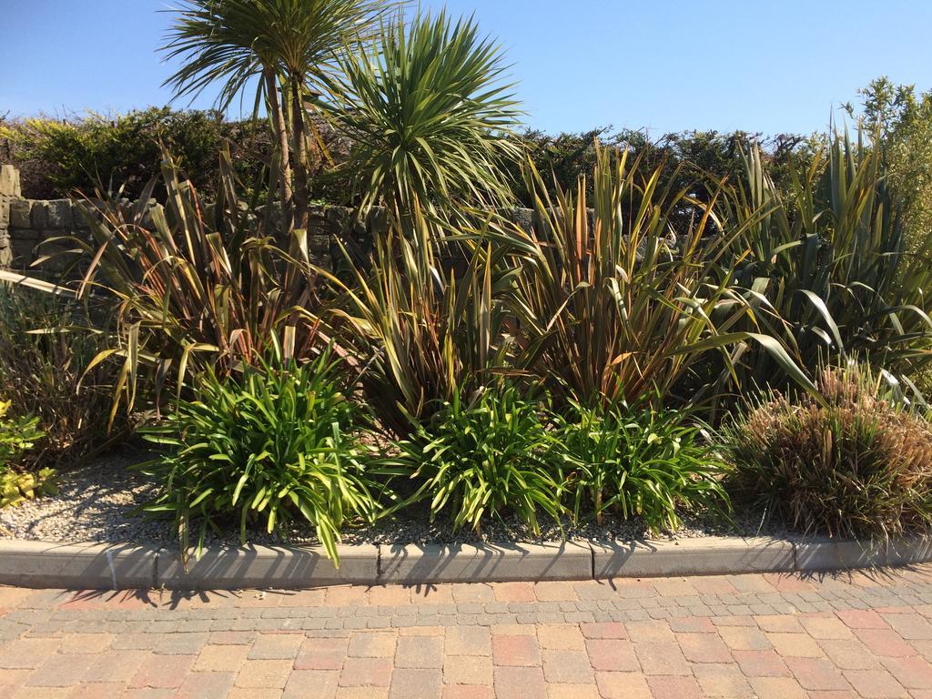Bearlough Self Catering Holiday Home Rosslare Harbour Esterno foto